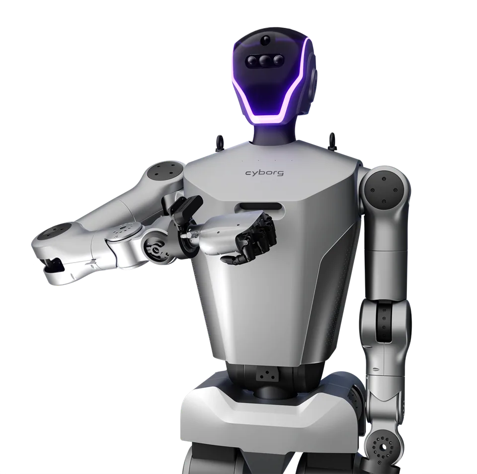 CYBORG R01 (RO1, zweibeiniger Humanoid)